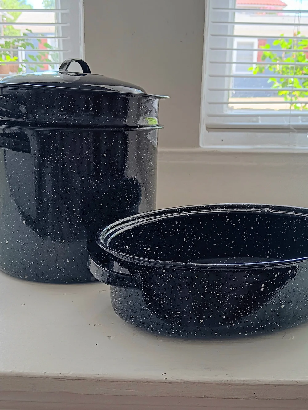 Enamel Speckled Black Stockpot and Roasting Pan Set - Black